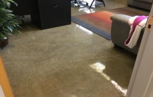 4 Things to Consider about Polished Concrete Floors.